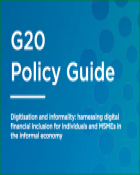 G20 Policy Guide: Digitisation and informality